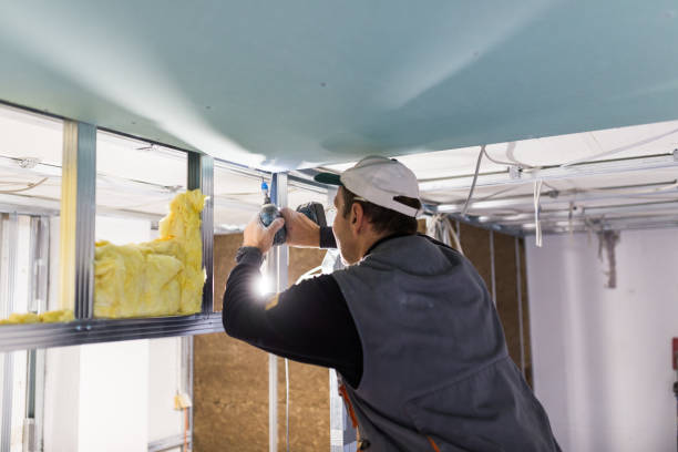 Best Eco-Friendly Insulation in Lake Park, IA