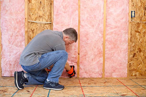 Best Geographic-Specific Insulation Services in Lake Park, IA