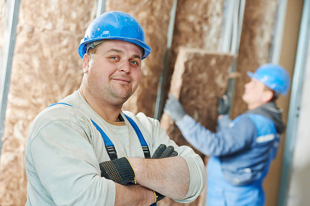 Best Cellulose Insulation in Lake Park, IA