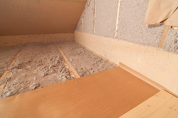 Professional Insulation Contractor in Lake Park, IA